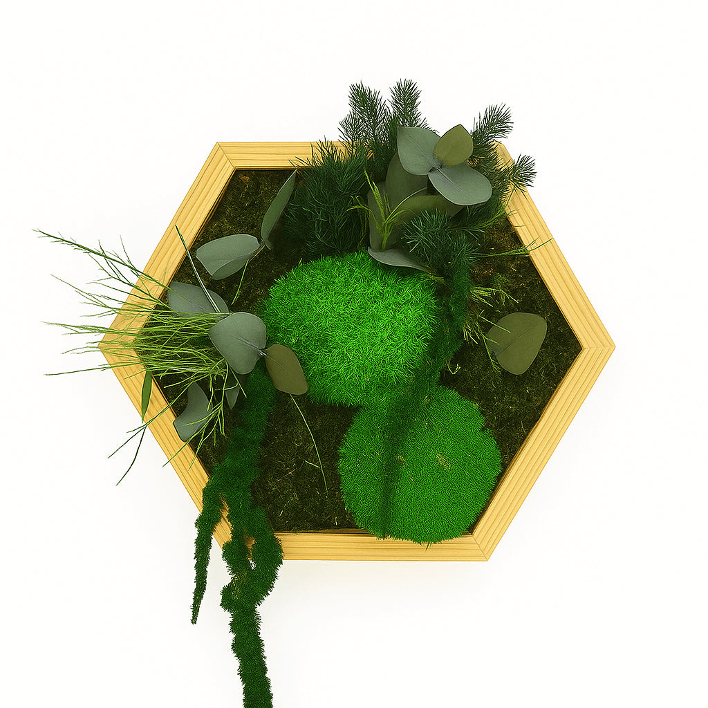 Edles Hexagonmoosbild von DesignmitGruen
